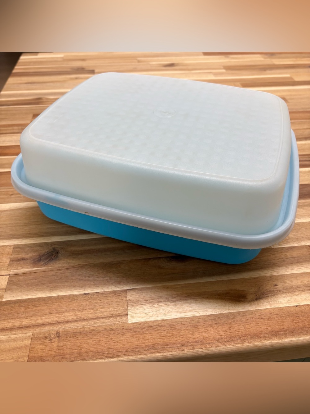Tupperware turquoise Season serve meat marinader Container with Lid 1294 1295